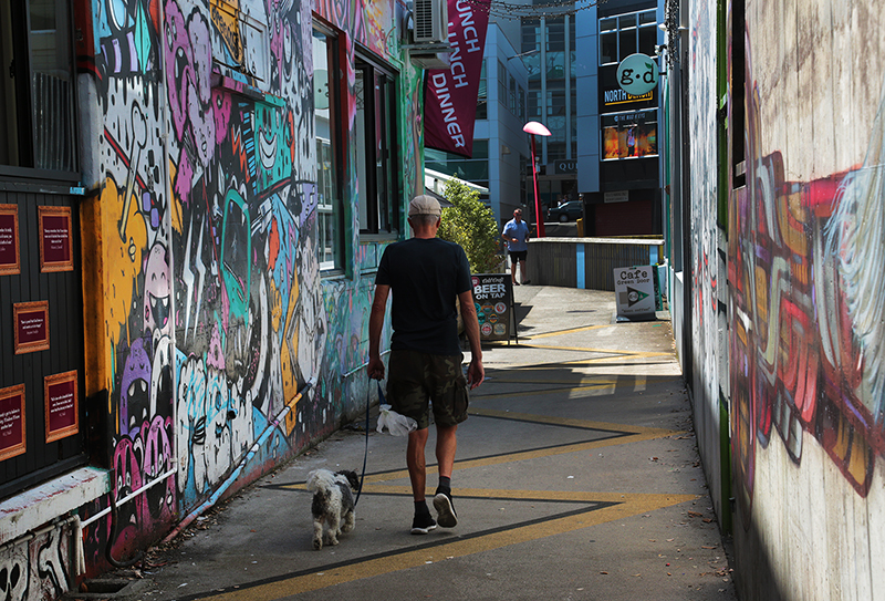 Street Art : New Plymouth : Taranaki : Richard Moore : Journalist : Photographer :